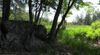 64 Whidden photo